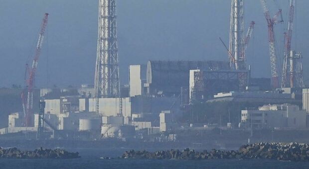 Fukushima, iniziato il rilascio di acqua radioattiva nell'oceano