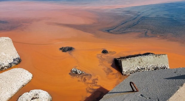 Zona rossa e il mare si tinge arancione: sconcerto e stupore al porto. Ma non c'è niente di tossico