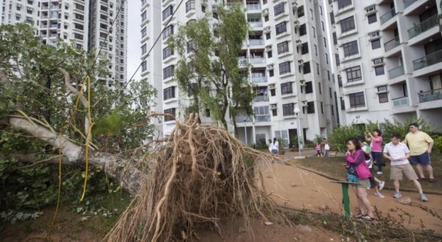 Cina, il tifone Hato causa tre morti a Macao