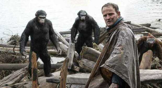 Stasera in tv su Italia 1 “Apes Revolution ll pianeta delle scimmie”