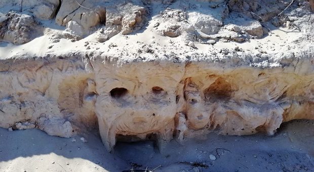 Le incisione sulla dune fossili di Torre Guaceto