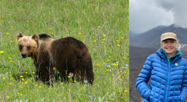 Abbattuto un altro orso: Mj5 aveva aggredito un uomo in Trentino. Lo zoologo Cignini: «Evitiamo psicosi». Licia Colò: «Eliminare altri orsi è scorretto»