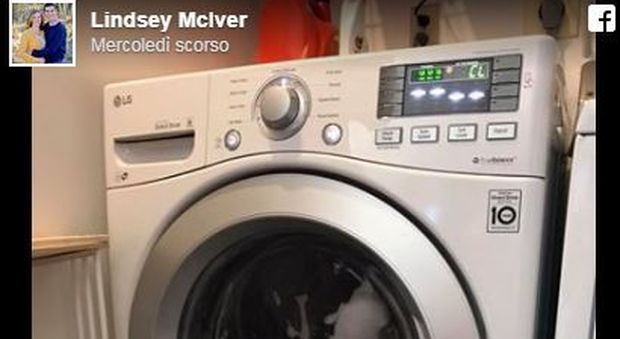 La figlia si chiude in lavatrice e il programma parte da solo: ira madre su Fb, 300.000 condivisioni