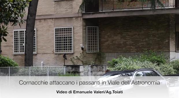 La Sapienza Roma è Pubblica O Privata