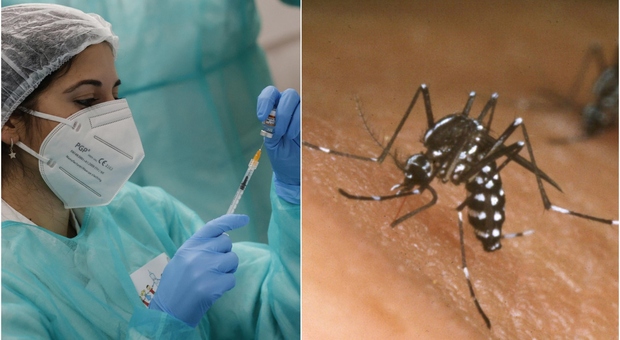 Covid e Dengue, casi in aumento: come distinguerli? L'esperto: «Ci sono sintomi caratterizzanti»