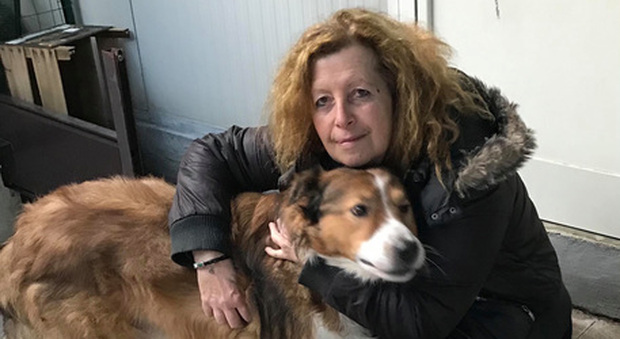 Morti A14, sono tre persone tra cui una volontaria Enpa che trasportava cuccioli da adottare Morti A14, sono tre persone tra cui una volontaria Enpa che trasportava cuccioli da adottare