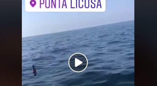 Getta bottiglia in mare e posta il video su Instagram: ragazzo sarà denunciato