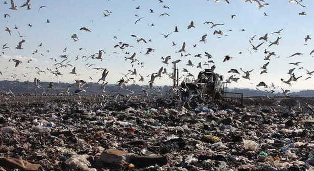 Roma, traffico di rifiuti e truffa all'Ama: inchiesta sulle discariche