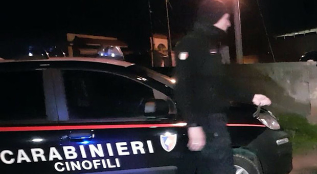Svolta nelle indagini sui festini a “Villa Inferno”: brindisino arrestato a Bologna