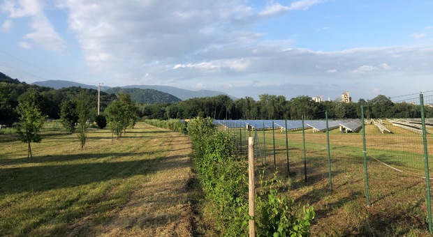 Un parco fotovoltaico