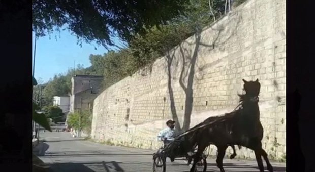 Allenamenti di cavalli all'aperto in strada ad Agnano: «Siamo stanchi di assistere a queste corse»