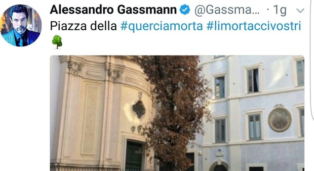 Piazza della Quercia diventa «piazza della Quercia Morta»: il tweet-denuncia di Alessandro Gassmann