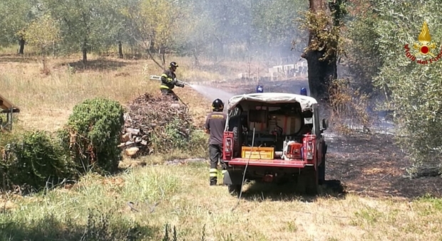 Rosora, a fuoco 600 mq di vegetazione Oliveto in salvo grazie ai vigili del fuoco