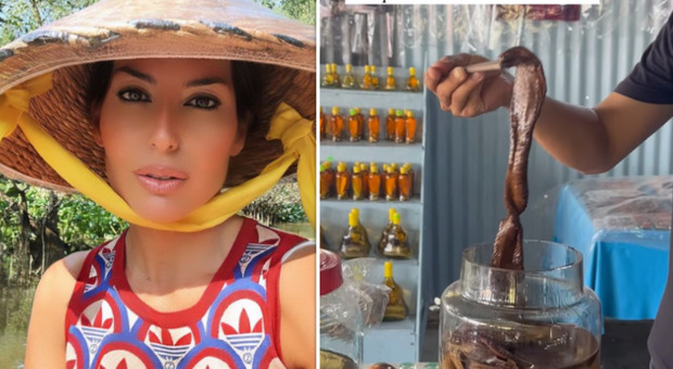 Elisabetta Gregoraci scopre la grappa con il cobra, la sorpresa nel viaggio in Vietnam: «Io passo»