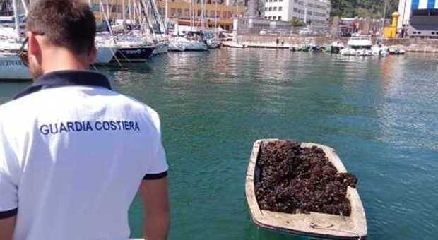 Cozze coltivate nel porto: scatta il maxisequestro