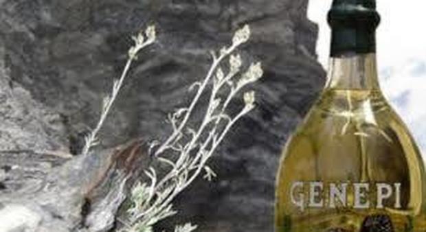 Il liquore Genepi del Piemonte ottiene il marchio europeo Ig dall'Europa