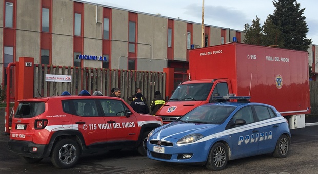 Petriano, cade un albero e lo travolge: scooterista miracolato