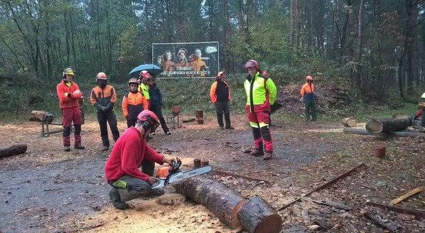 Operai idraulico-forestali, pressing dei sindacati: «Via all'iter per la stabilizzazione»