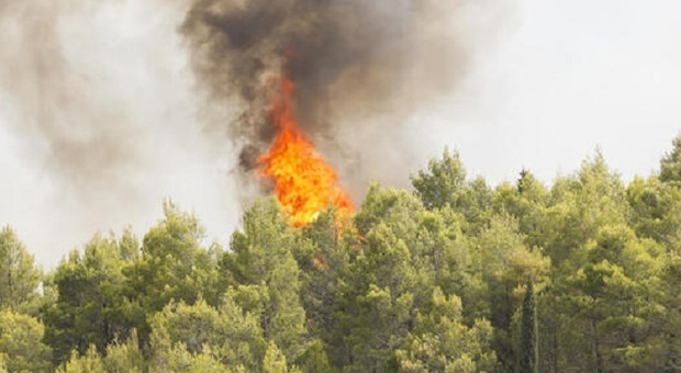 Incendia boschetto a Malo mentre è ai domiciliari (foto di repertorio)