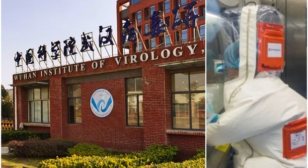Wuhan, «prove insufficienti». L'indagine riparte da zero: l'Oms invia nuovi esperti di virus e biosicurezza