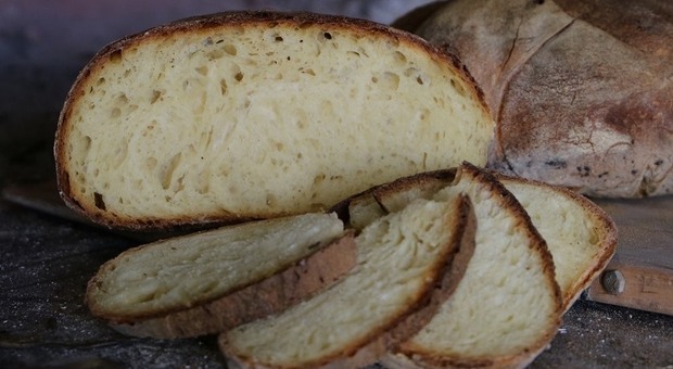 Giornata mondiale del pane, ad Altamura si festeggia la Dop. Ecco il programma