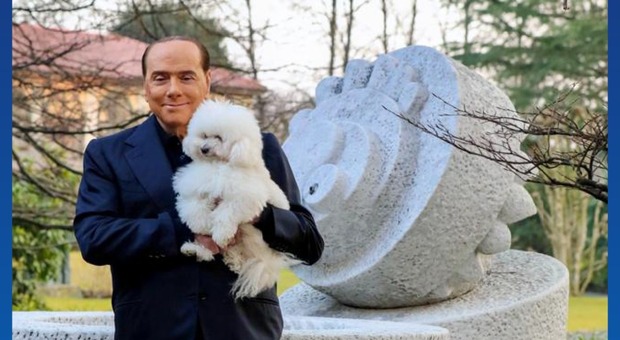 Berlusconi e la foto con Dudu nella giornata internazionale del cane «Tanti auguri ai nostri amici»