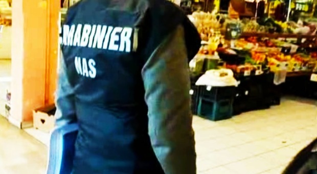 Tonno ricongelato, multa e sequestro del Nas per un sushi bar a Pescara
