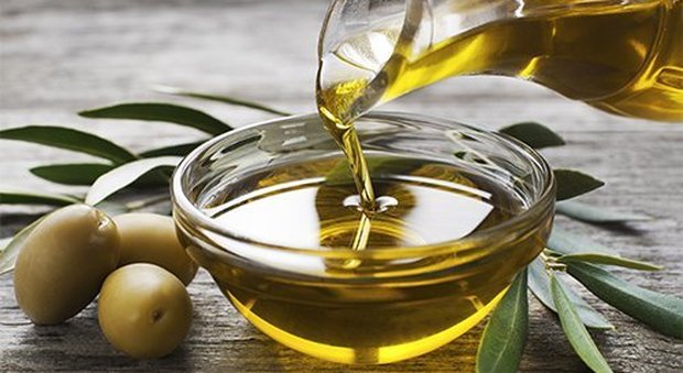 Arriva il primo olio d'oliva col marchio "Marche Igp": attesa grande annata
