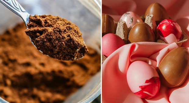 Uova di Pasqua super care, il prezzo del cacao ha raggiunto livelli record: 10mila dollari a tonnellata. Ecco perché