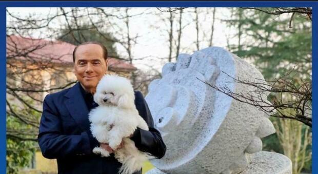 Silvio Berlusconi, la foto a sorpresa sui social: «Bau, bau!». Ecco il motivo