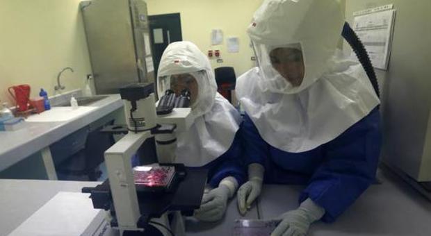 Ebola, allarme a Padova, due casi: sono negativi, è "solo" malaria