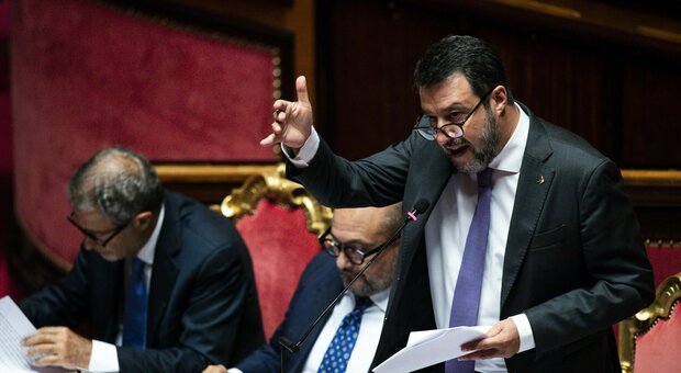 Salvini: «Patente revocata a chi abbandona animali. Siano garantiti loro accesso a spiagge e voli»