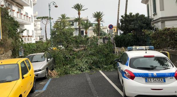 La Campania nella morsa del vento: è strage di alberi, un morto tre feriti