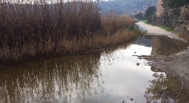 Il lago d'Averno rompe gli argini: monumenti a rischio