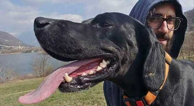 immagine Cane cade nel torrente per seguire le anatre. Padrone disperato: «Diogene trascinato via. Lo cerco da giorni, aiutatemi a ritrovarlo»

