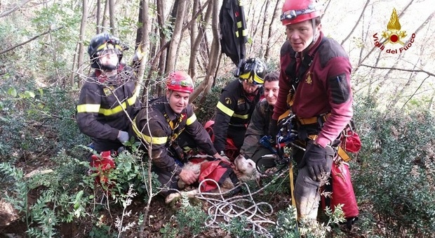 Il setter "Tobby" cade in una buca di 25 metri: salvato dai pompieri