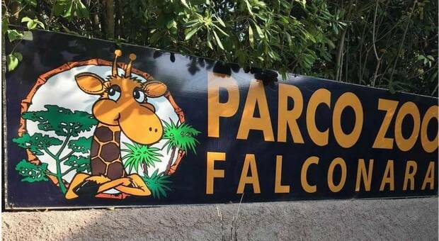 Al Parco Zoo di Falconara una domenica speciale per le mamme. Anche un omaggio all'ingresso