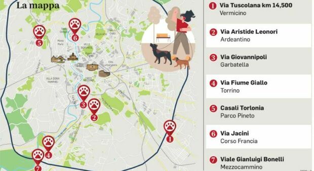 Roma, arrivano i giardini per cani: il Comune investe 3 milioni. Dalla Tuscolana a Corso Francia, ecco dove