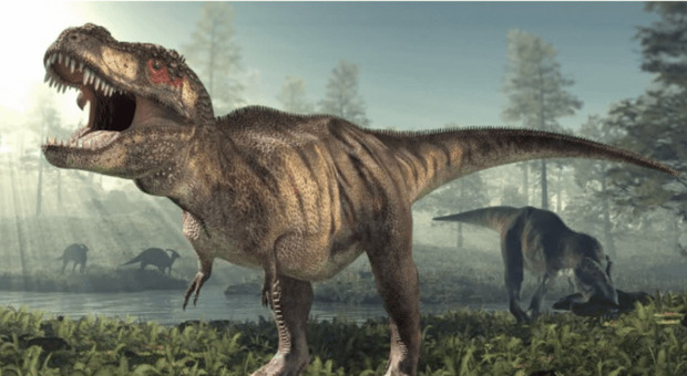 Asta record per uno scheletro di Tyrannosaurus Rex, venduto per 31,85 milioni di dollari