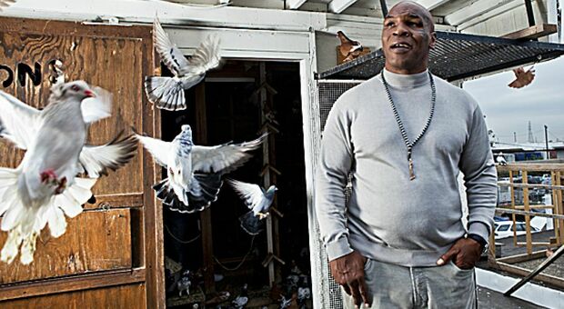 Mike Tyson lascia la fidanzata: «Ha cucinato e mangiato il suo piccione preferito»
