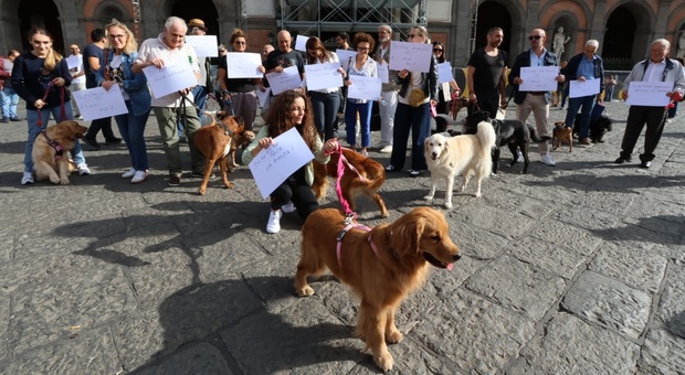 La protesta dei proprietari dei cani