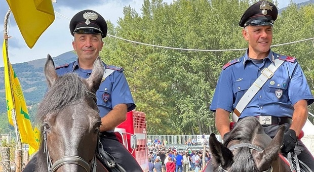 Cittareale, anche quest’anno i carabinieri presenti coi propri esemplari alla Festa dei Cavalli