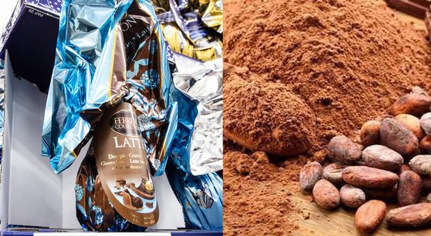 Cacao, ecco perché i prezzi stanno esplodendo (10.000 dollari a tonnellata): rischio stangata sul cioccolato