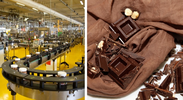 Cioccolata e Covid, vendite al top spinte dalla quarantena: il fatturato del settore sale a 5 miliardi