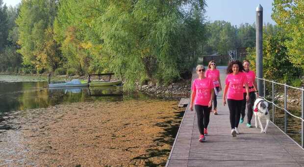 Acqua alta al Lago di Revine, la camminata "in rosa" cambia percorso