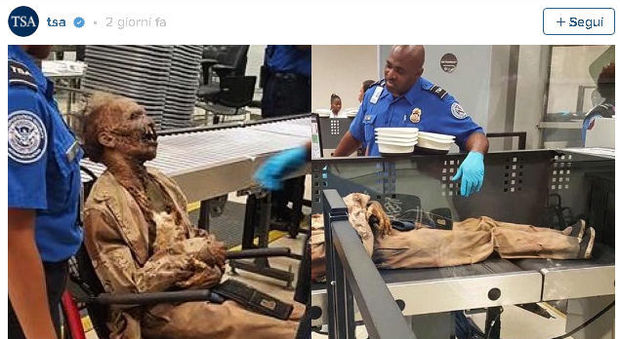 Cadavere in aeroporto ad Atlanta