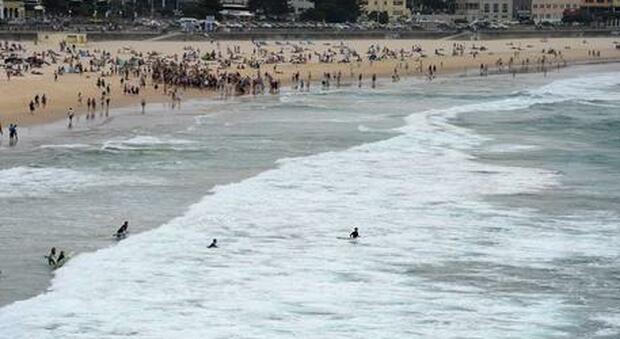 Squalo attacca un bagnante in mare: morto a 55 anni in Australia, choc in spiaggia