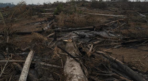 Amazzonia, 4mila nuovi incendi dopo il divieto del governo. Bolsonaro assente al vertice: «Deve operarsi»