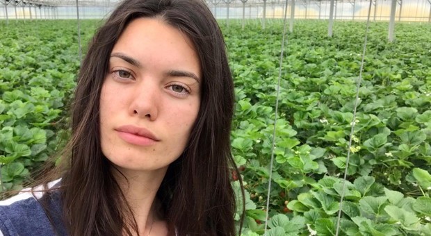 Imprenditrice Sofia Michieli ha assunto sei persone per la raccolta delle fragole