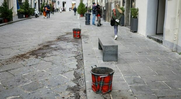Napoli, 20 alberelli di Natale rubati a via Calabritto; l'ira dei commercianti: «Sono stati i ragazzini»